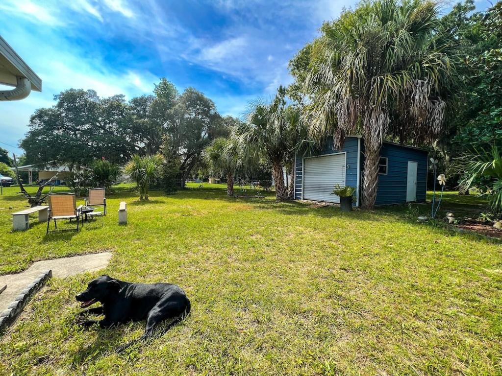 Villa House Of Shells, Beautiful Garden, Fenced Yard, Dog Friendly, Fire Pit! Crystal River Exterior foto