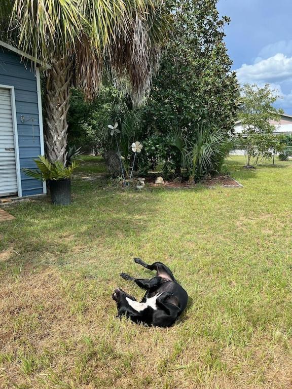 Villa House Of Shells, Beautiful Garden, Fenced Yard, Dog Friendly, Fire Pit! Crystal River Exterior foto